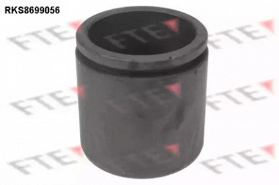 FTE rks8699056 -  