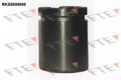 FTE rks8699066 -  