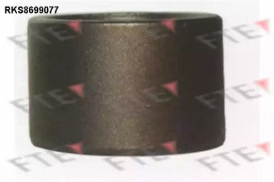 FTE rks8699077 -