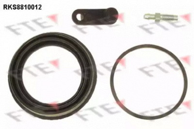 FTE rks8810012 -