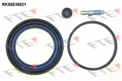 FTE rks8839021 -  
