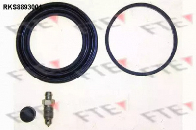 FTE rks8893001 -  