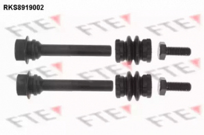 FTE rks8919002 -  