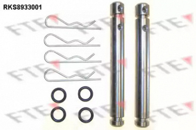 FTE rks8933001 -