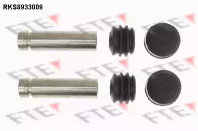 FTE rks8933009 -
