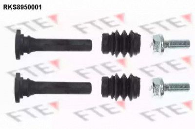 FTE rks8950001 -