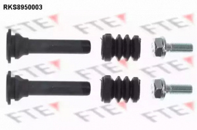 FTE rks8950003 -  