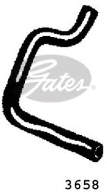 GATES 3658 - Шланг радиатора