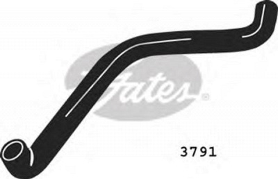 GATES 3791 - Шланг радиатора