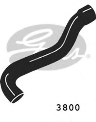 GATES 3800 - Шланг радиатора
