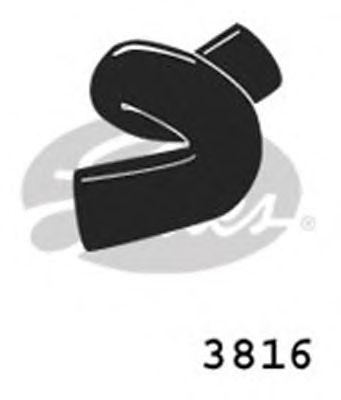 GATES 3816 - Шланг радиатора