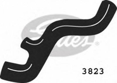 GATES 3823 - Шланг радиатора