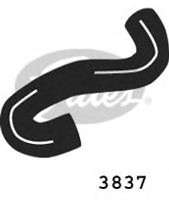 GATES 3837 -  Шланг радиатора