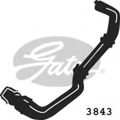 GATES 3843 - Шланг радиатора