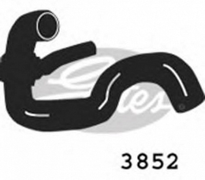 GATES 3852 - Шланг радиатора