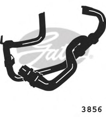 GATES 3856 -  Шланг радиатора