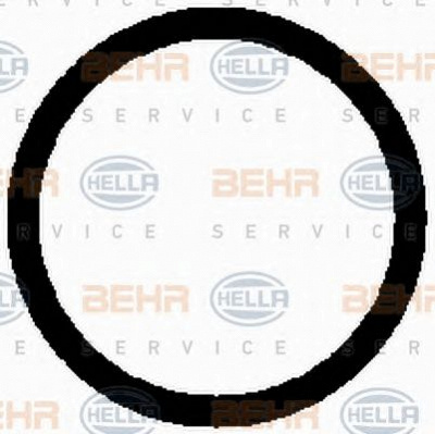 HELLA 8fk351119021 -  Компрессор, кондиционер