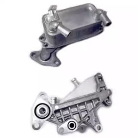 HOFFER 8095077 -  Масляный радиатор, автоматическая коробка передач