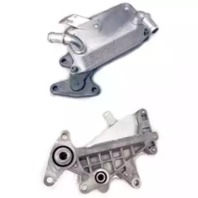 HOFFER 8095079 -  Масляный радиатор, автоматическая коробка передач