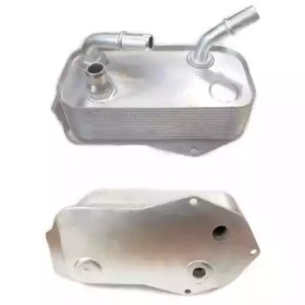 HOFFER 8095091 -  Масляный радиатор, автоматическая коробка передач