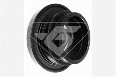 HUTCHINSON dp055 -  Ременный шкив, коленчатый вал