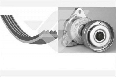 HUTCHINSON khv220 -  Поликлиновой ременный комплект