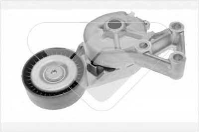 HUTCHINSON t0038 -  Натяжной ролик, поликлиновой  ремень