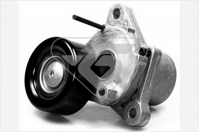 HUTCHINSON t0059 -  Натяжной ролик, поликлиновой  ремень