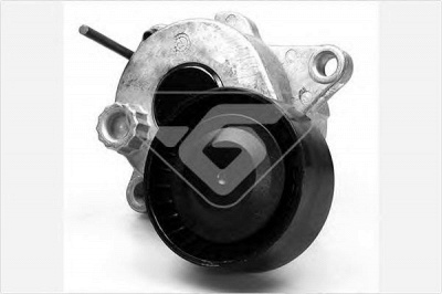 HUTCHINSON t0067 -  Натяжной ролик, поликлиновой  ремень