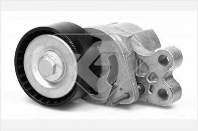 HUTCHINSON t0071 -  Натяжной ролик, поликлиновой  ремень