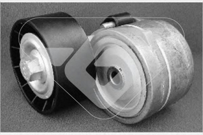 HUTCHINSON t0200 -  Натяжной ролик, поликлиновой  ремень