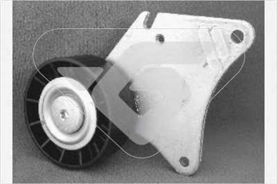 HUTCHINSON t0203 -  Натяжной ролик, поликлиновой  ремень