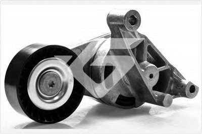 HUTCHINSON t0251 -  Натяжной ролик, поликлиновой  ремень