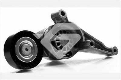HUTCHINSON t0260 -  Натяжной ролик, поликлиновой  ремень
