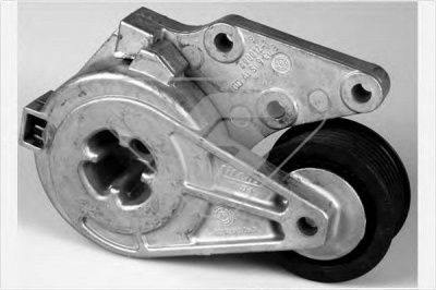 HUTCHINSON t0263 -  Натяжной ролик, поликлиновой  ремень