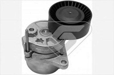 HUTCHINSON t0399 -  Натяжной ролик, поликлиновой  ремень
