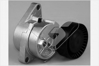 HUTCHINSON t0409 -  Натяжной ролик, поликлиновой  ремень