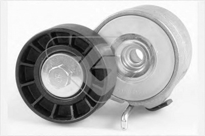 HUTCHINSON t0432 -  Натяжной ролик, поликлиновой  ремень
