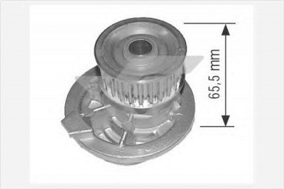 HUTCHINSON wp0020v -  Водяной насос