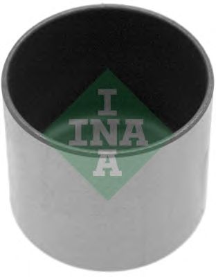 INA 421001010 -  Толкатель