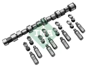 INA 428004330 - Комплект распредвала