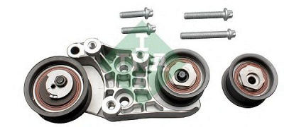 INA 530014809 -  Комплект роликов, зубчатый ремень