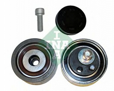 INA 530036409 -  Комплект роликов, зубчатый ремень