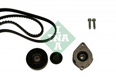 INA 530039810 -  Поликлиновой ременный комплект