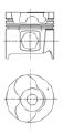 IPSA pi001502 -  