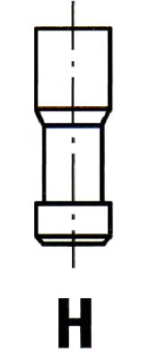 IPSA vl038000 -  Впускной клапан