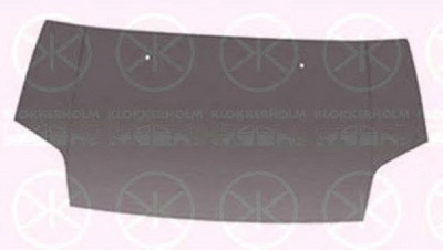 KLOKKERHOLM 2507281a1 -  Капот двигателя
