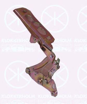 KLOKKERHOLM 2555452 -  Шарнир, капот