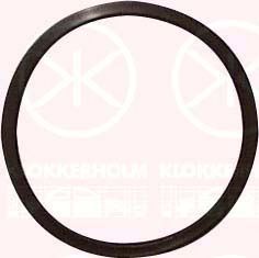 KLOKKERHOLM 25990096 -  Прокладка, датчик уровня топлива