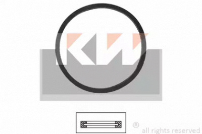 KW 590528 -  Прокладка, термостат